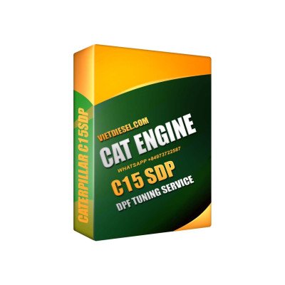 CATERPILLAR C15SDP DPF Delete Service By TeamViewer