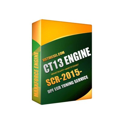 CT13 DPF EGR Delete