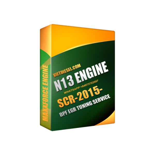 MAXXFORCE N13 DPF EGR Delete by TeamViewer