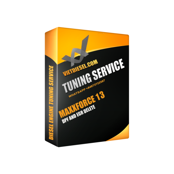 MAXXFORCE 13 DPF EGR Delete by TeamViewer