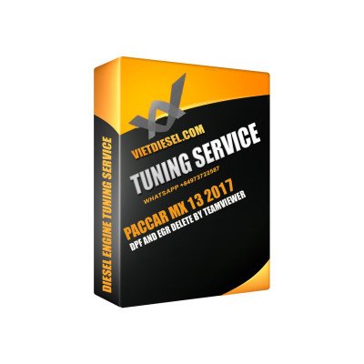 Paccar MX13 2017 DPF DEF SCR EGR Delete by TeamViewer