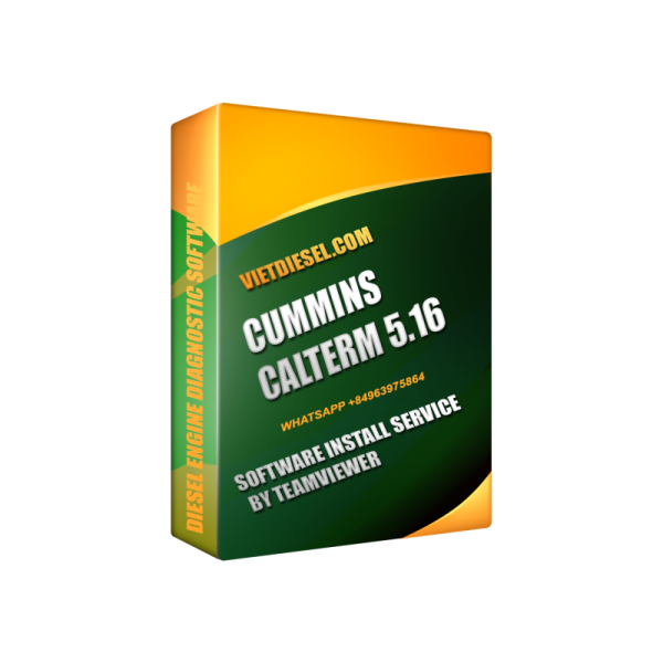 CALTERM 5.16 Install Service by TeamViewer