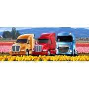 USA TRUCK